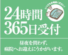 栃木県下野市葬儀しらゆり会館